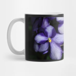 Violet & White Bi-colour African Violets Mug